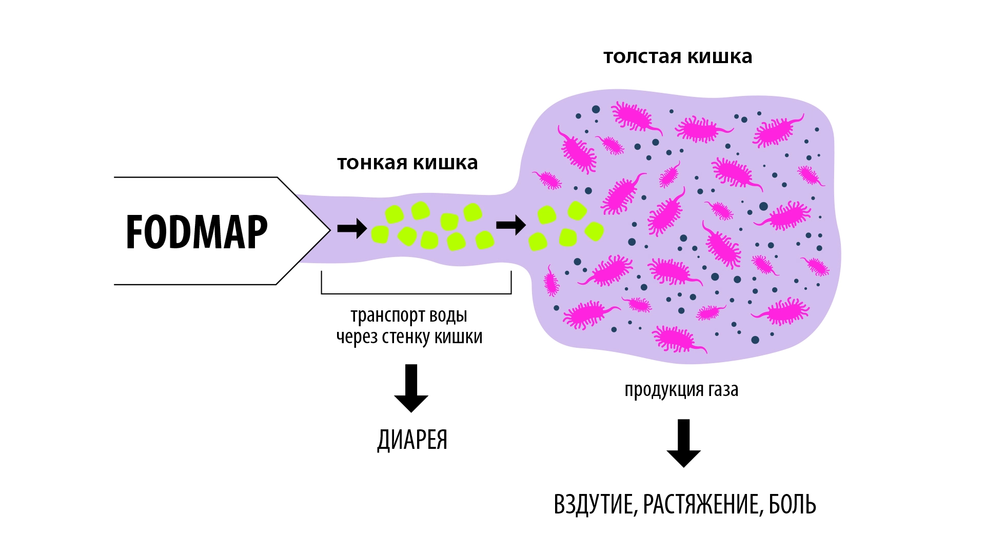 fodmap-dieta-pri-zabolevaniyakh-zhkt-3